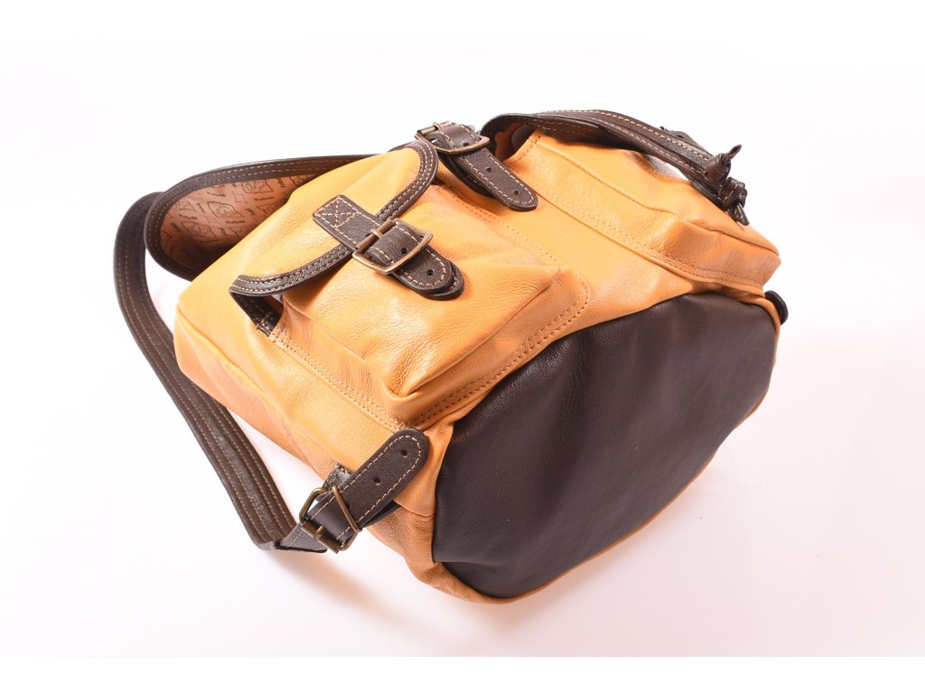 Praktické členění batohu Lux