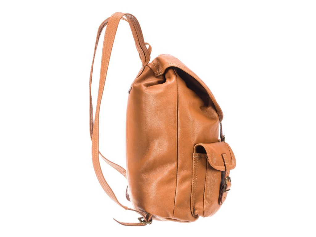 Praktické členění batohu Lux